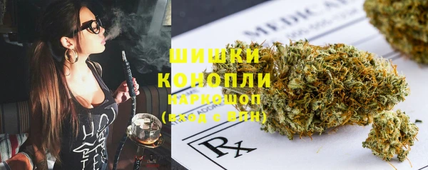 гидра Алексеевка