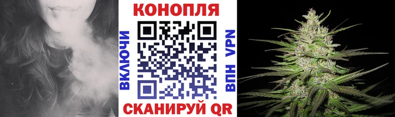 Конопля марихуана  магазин продажи   Оленегорск 